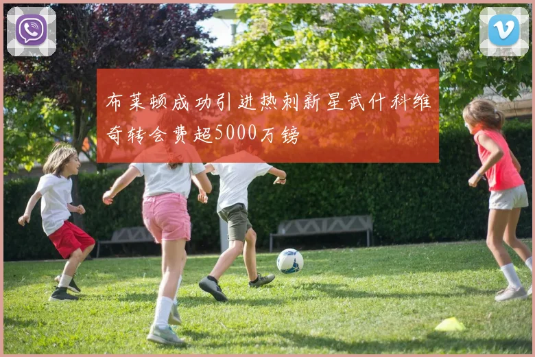 布莱顿成功引进热刺新星武什科维奇转会费超5000万镑